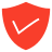 Protection Icon