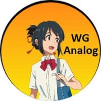 WG Analog Injector