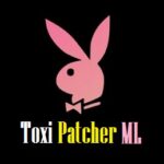 Toxi Patcher APK [Latest Version] v1.9 Free Download