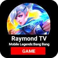 Raymond TV Modz