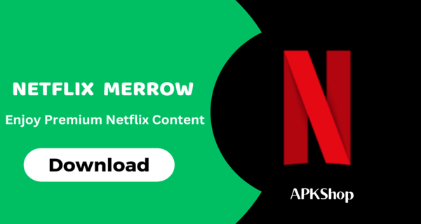 Netflix Mirror APK Thumbnail