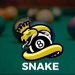 Snake 8 Ball Pool