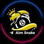 Snake Aim Tool APK (Premium Mod Unlocked) v2025 Download