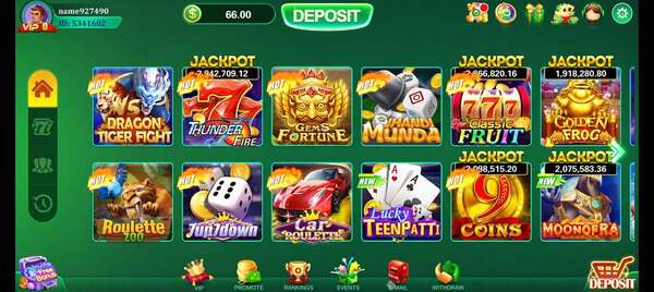Winli Slots Game
